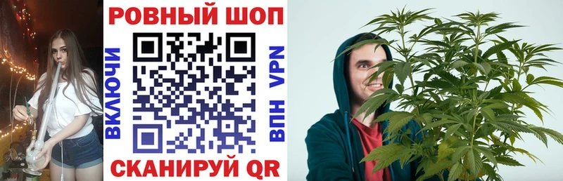 Галлюциногенные грибы Приволжский