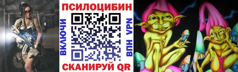 где продают   Приволжский  Псилоцибиновые грибы GOLDEN TEACHER 